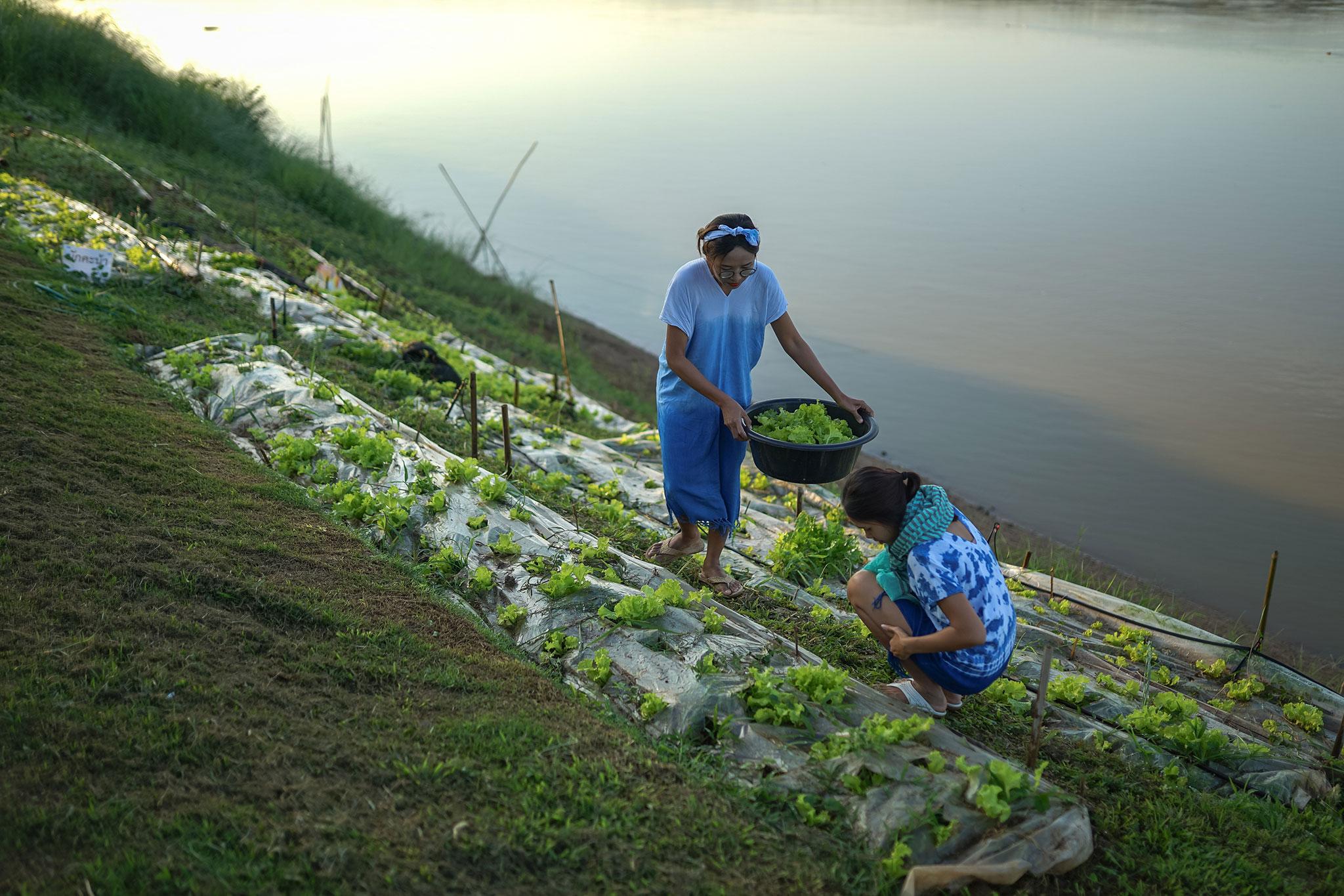 Chiangkhan River Mountain Resort Chiang Khan Buitenkant foto